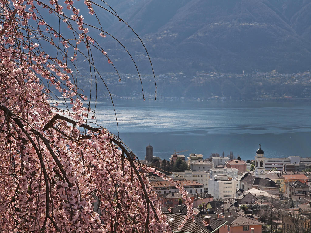 Casa Sibylle Bei Locarno Apartment Luaran gambar